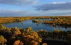 Tarim Populus Euphratica Forest Park - Xinjiang Tourist Attraction