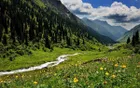 Gongnaisi National Forest Park - Xinjiang Tourist Attraction