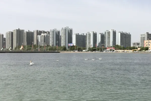 库尔勒天鹅河景区 - 新疆旅游景区