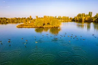 Duolang River National Wetland Park - Xinjiang Tourist Attraction