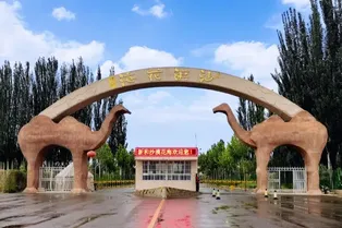 Xinhe Desert Flower Sea Scenic Area