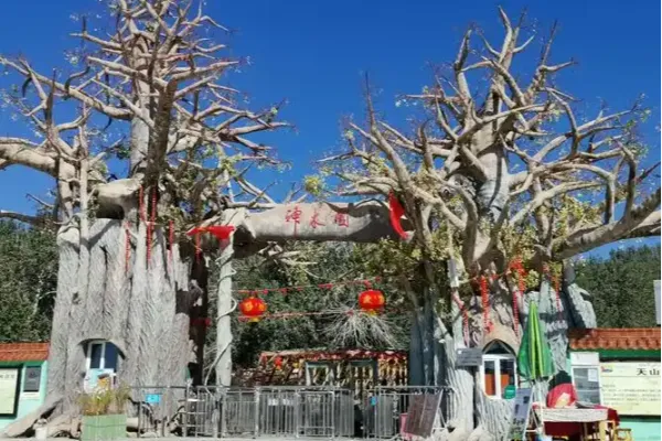 天山神木园 - 新疆旅游景区