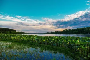 通州大運河森林公園 - 北京旅遊景區