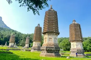 Yinshan Pagoda Forest Scenic Area - Beijing Tourist Attraction