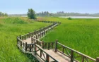 Wild Duck Lake National Wetland Park - Beijing Tourist Attraction