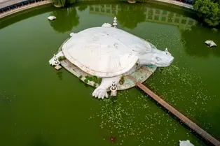 Oriental Giant Turtle Garden