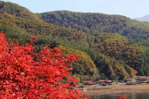 秋山风景区 - 河北旅游景区