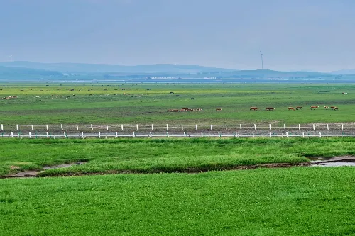 Jingbei First Grassland - Hebei Tourist Attraction