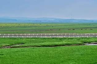 京北第一草原 - 河北旅遊景區