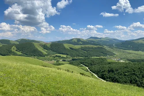 Qiansongba Forest Park