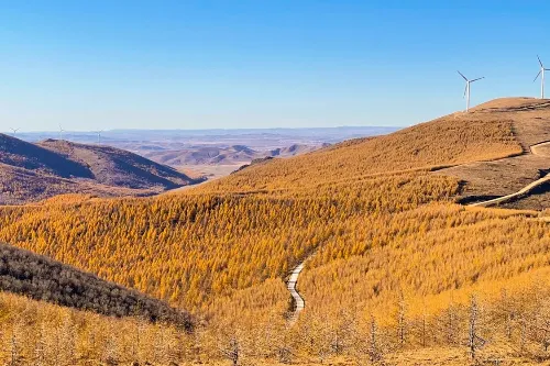 Liushugou Forest Park