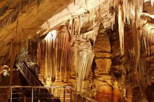 Crystal Curtain