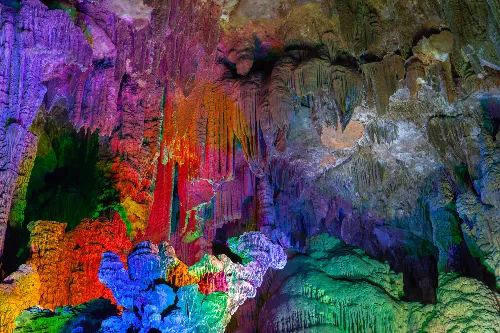 Stone Flower Fairyland