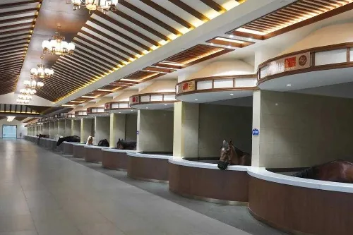 皇家馬廄