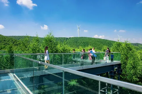 Glass Skywalk