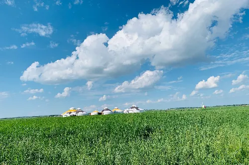 Zhongdu Original Grassland Resort