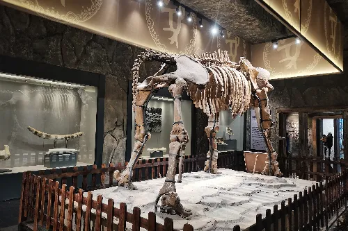 Jiangxia Cultural Museum