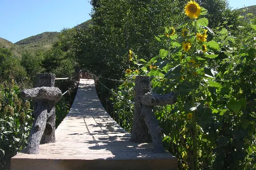 Xiangqing Garden