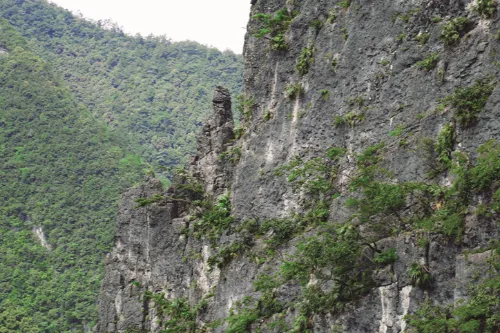 蓮台觀音