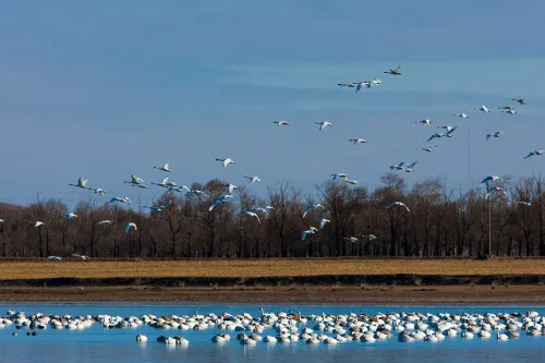 Kulun Nur Lake