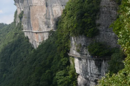 Cliff Plank Road