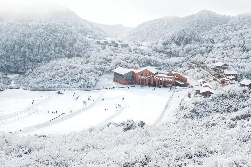 Jinfo Mountain Skiing