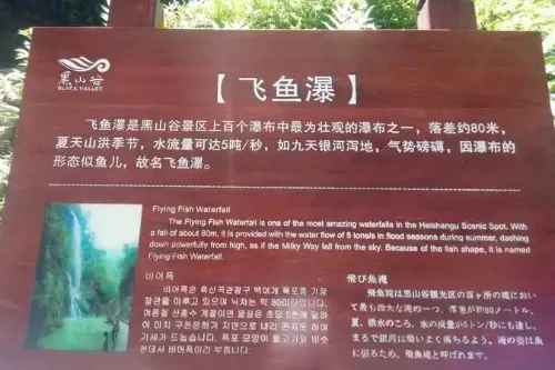 Feiyu Waterfall Sign