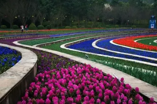 Romantic Flower Field