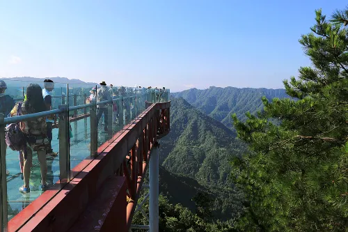 Dafengbao Primitive Forest Scenic Area