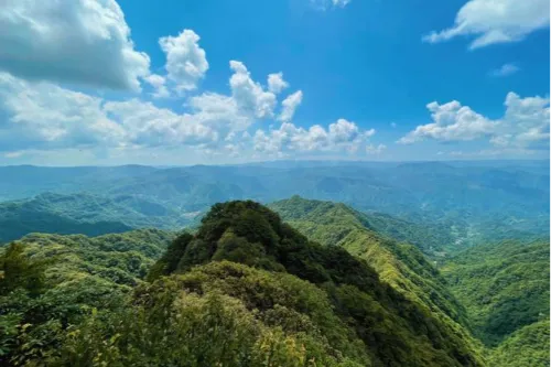 Dafengbao Primitive Forest Scenic Area