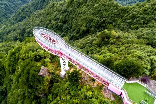 Dafengbao Primitive Forest Scenic Area