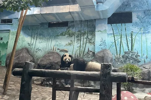 步行區