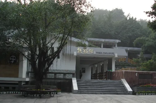 Giant Panda House