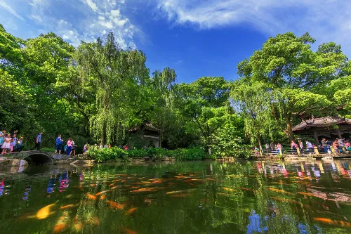 Goldfish House