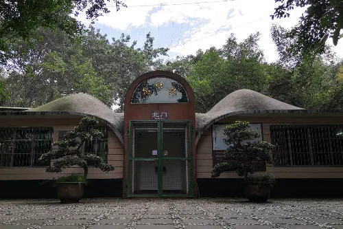 Bird Language Forest