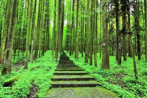 Tongtian Road