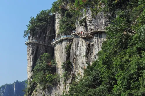 Glass Plank Road