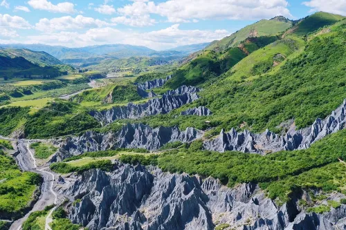 Stone Forest Landscape