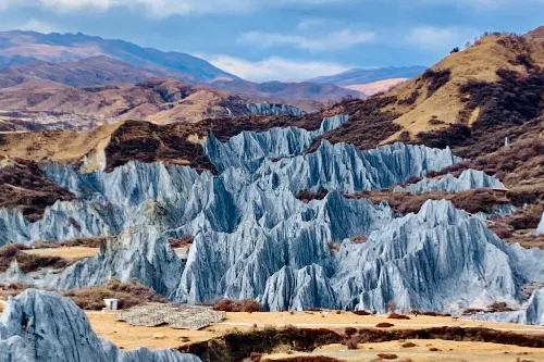 Stone Forest Landscape
