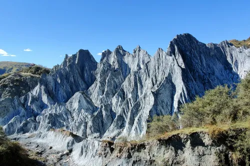 Stone Forest Landscape