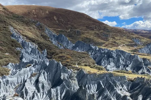 Stone Forest Landscape