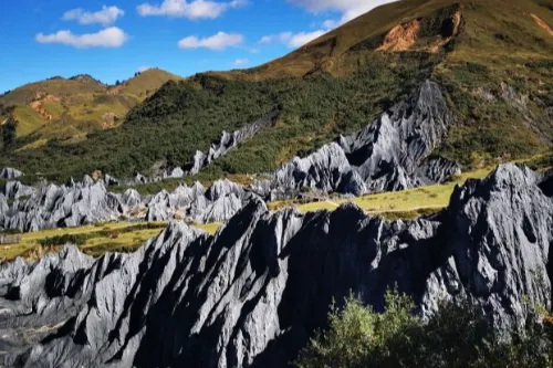 Ink-wash Stone Forest