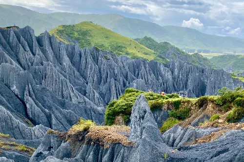 Stone Forest Landscape