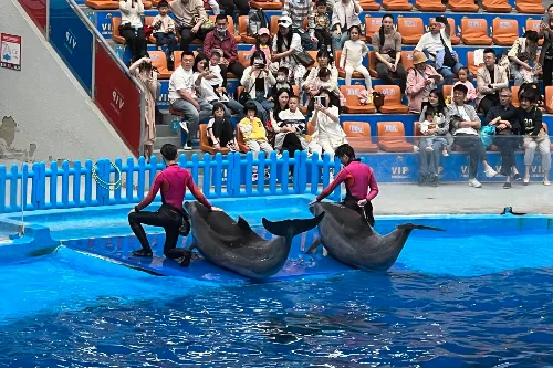 Marine Animal Performance Venue