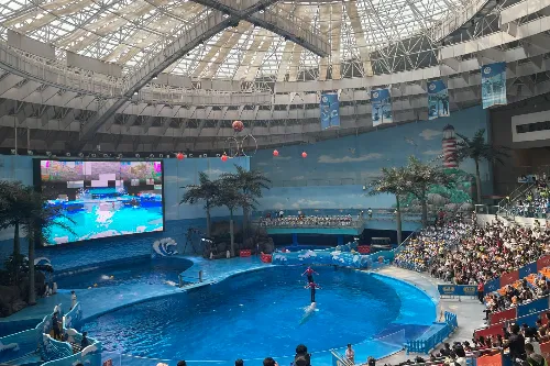 Marine Animal Performance Venue