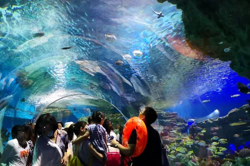 Underwater Tunnel