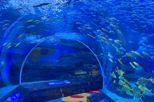 Underwater Tunnel