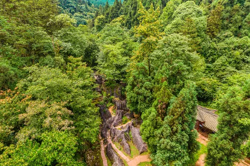 Huashi Forest