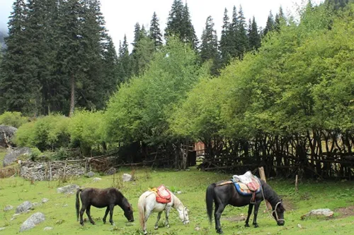Changping Valley