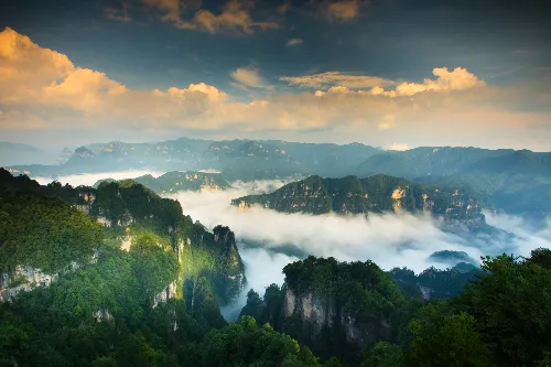 Yanyan Stone Forest